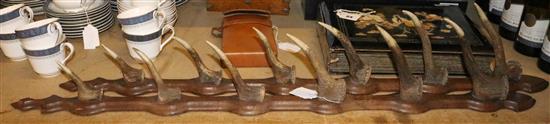 Pair of horn gun racks(-)